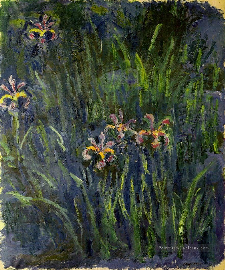 Iris II Claude Monet Fleurs impressionnistes Peintures à l'huile